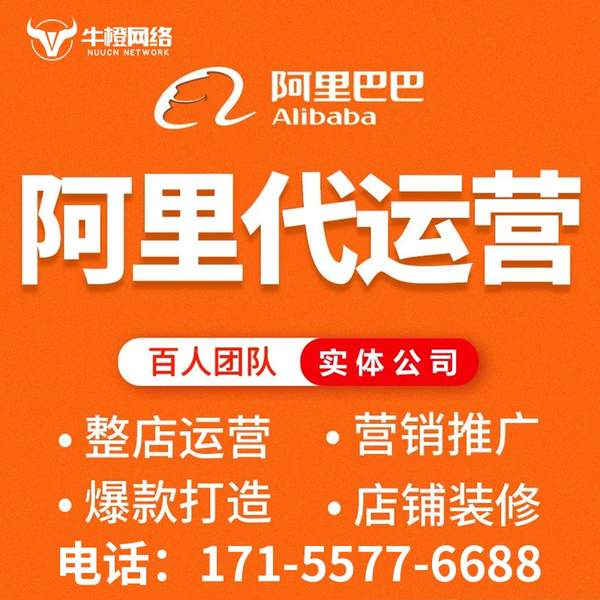 桐乡电商代运营