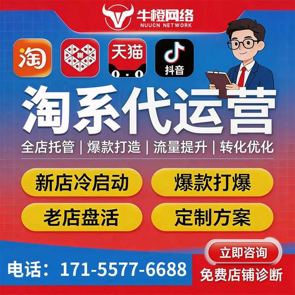 桐乡电商代运营