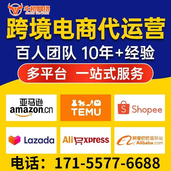桐乡电商代运营