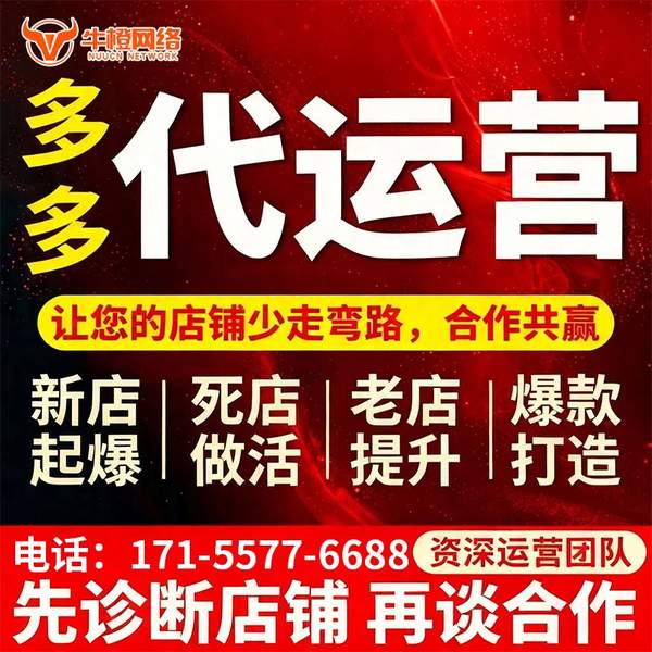 桐乡电商代运营