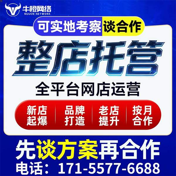 桐乡电商代运营