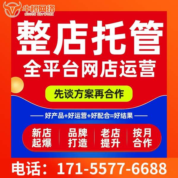 桐乡电商代运营