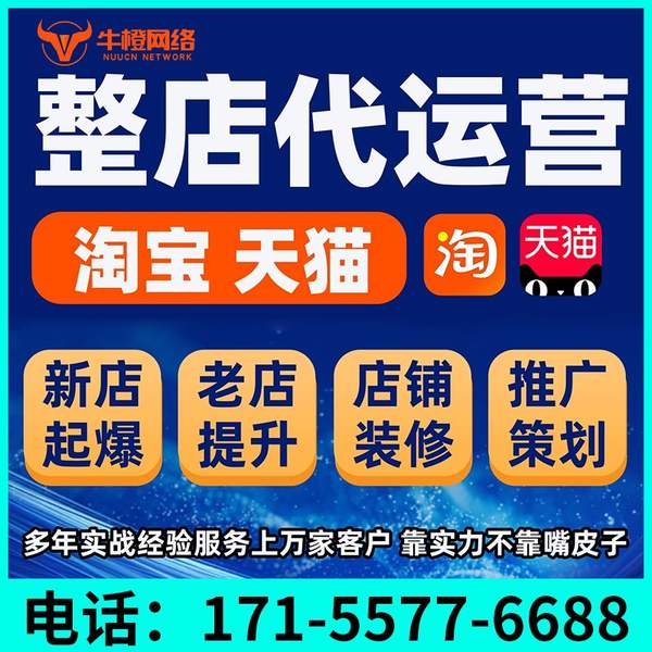 桐乡电商代运营