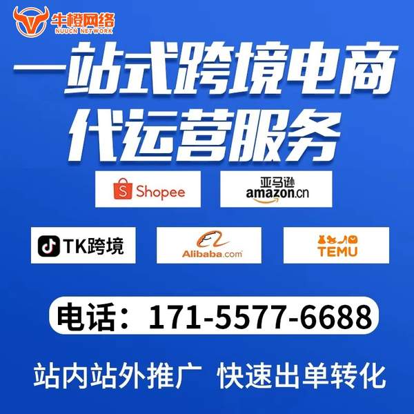 桐乡电商代运营