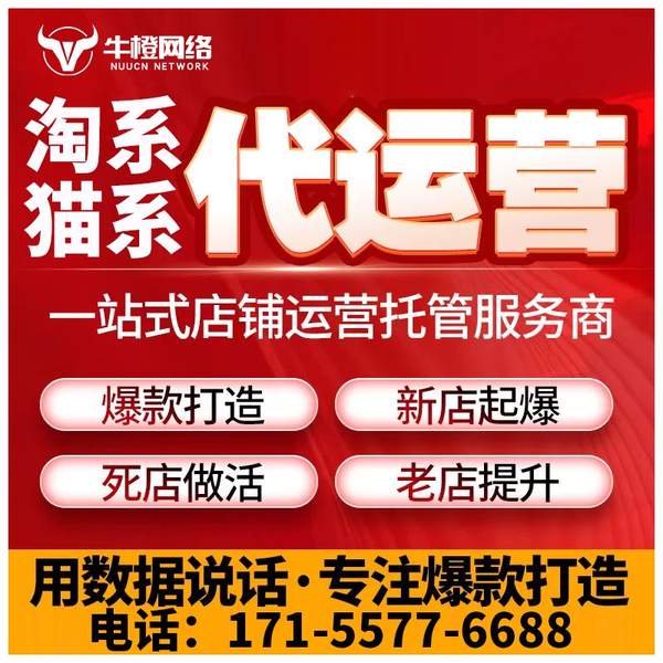 桐乡电商代运营